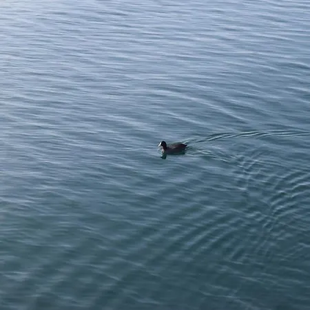 Apartment Haus Bodanblick