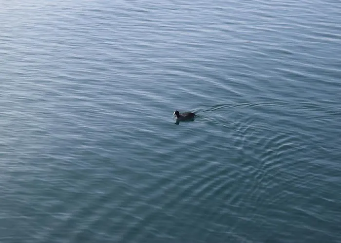 Appartement Haus Bodanblick